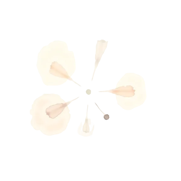 network-abstract-illustrate